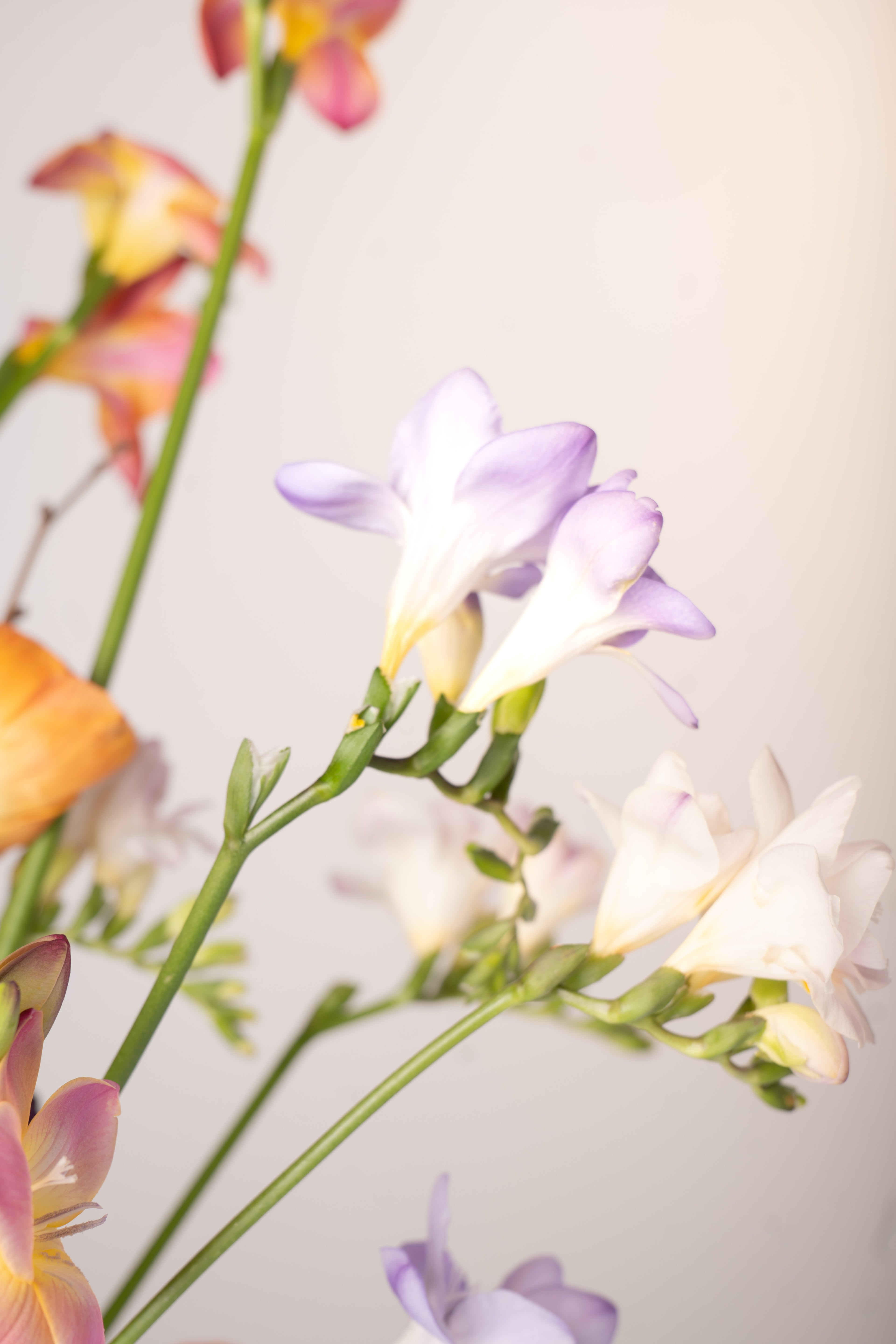 Ikebana  FLoral Design Workshop 16.04.2026 / 18 Uhr