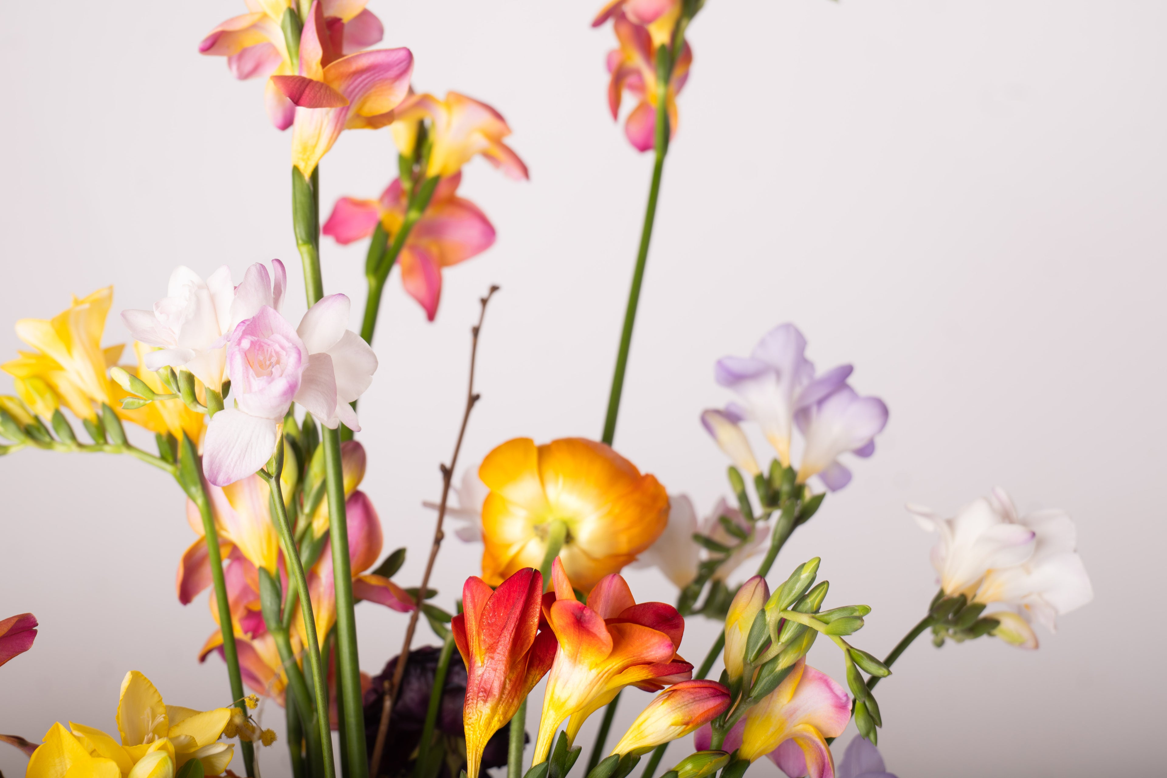 Ikebana  FLoral Design Workshop 16.04.2026 / 18 Uhr
